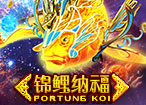 fortune koi